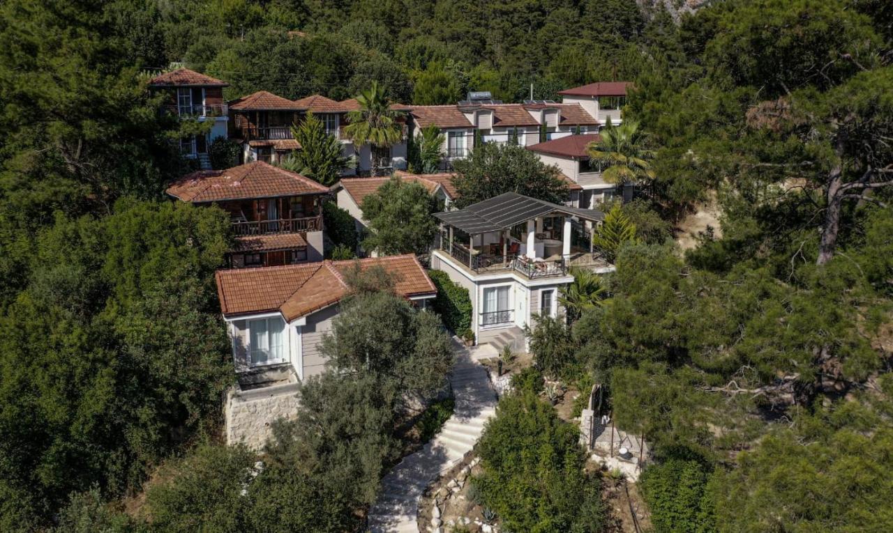 Hotel 212 Olympos Exteriér fotografie