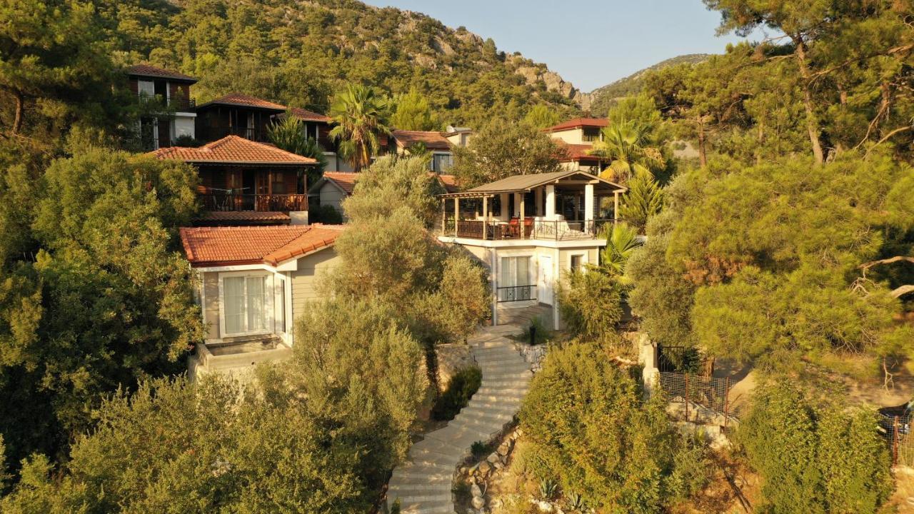 Hotel 212 Olympos Exteriér fotografie